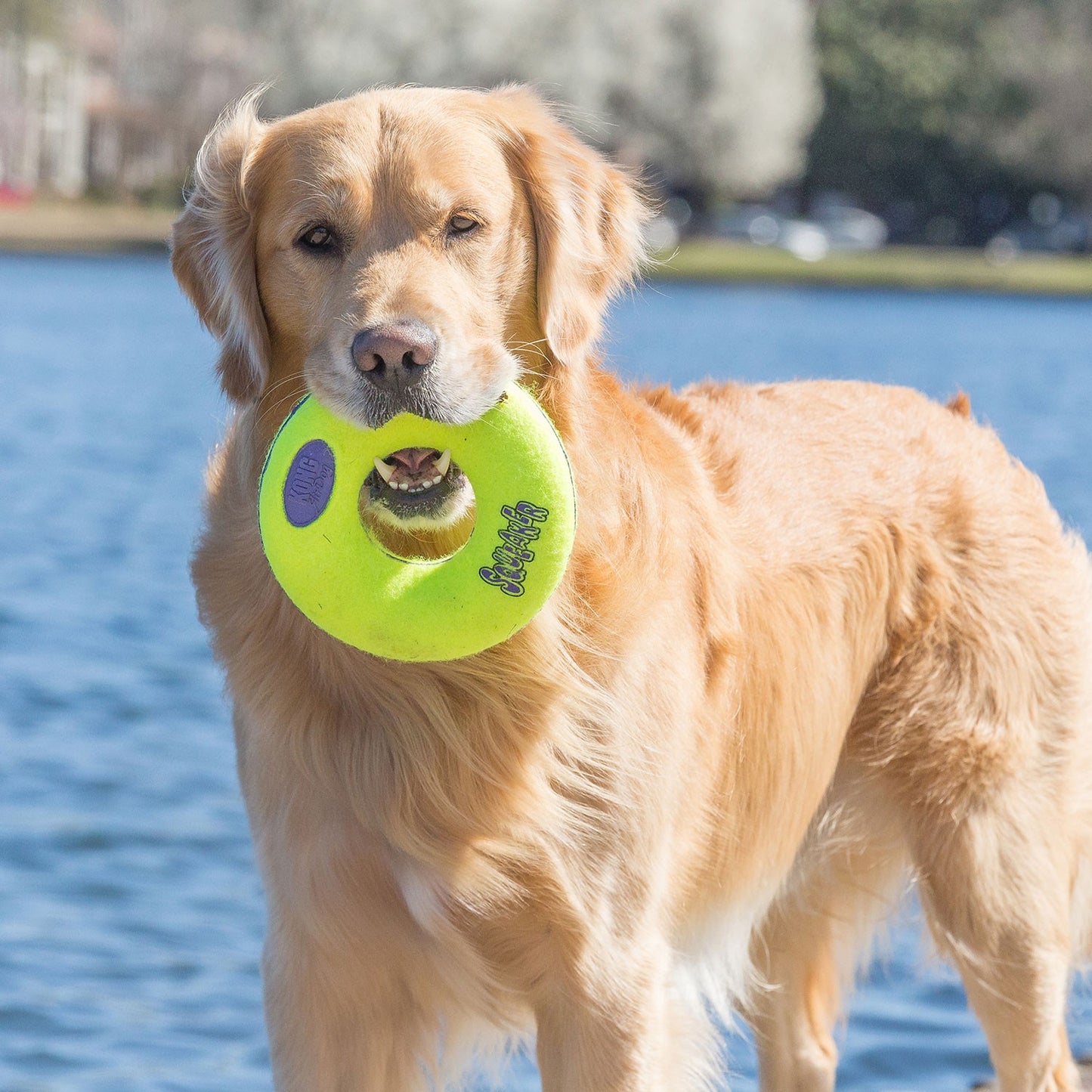 Kong AirDog Donut Ciambella con Suono Gioco per Cani