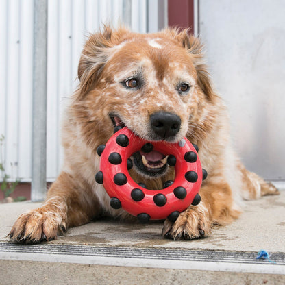 Kong Dotz Circle Gioco a forma di Cerchio per Cani