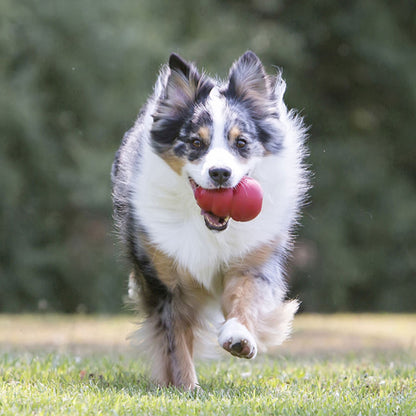 Kong Classic Gioco in Gomma per Cani