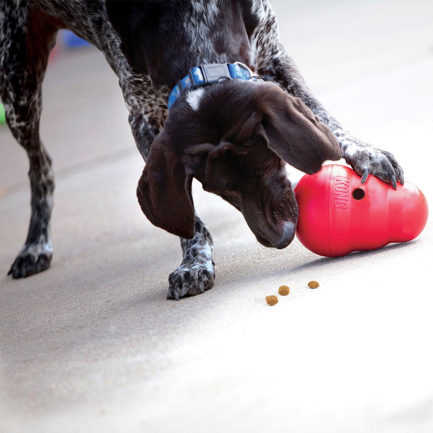 Kong Wobbler Gioco Cibo per Cani