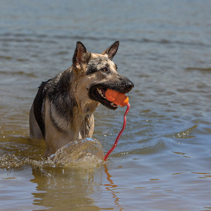 Kong Aqua Gioco da Riporto con Corda Galleggiante per Cani
