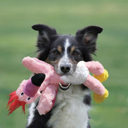 Kong Wild Knots Peluche a forma di Uccello Gioco per Cani