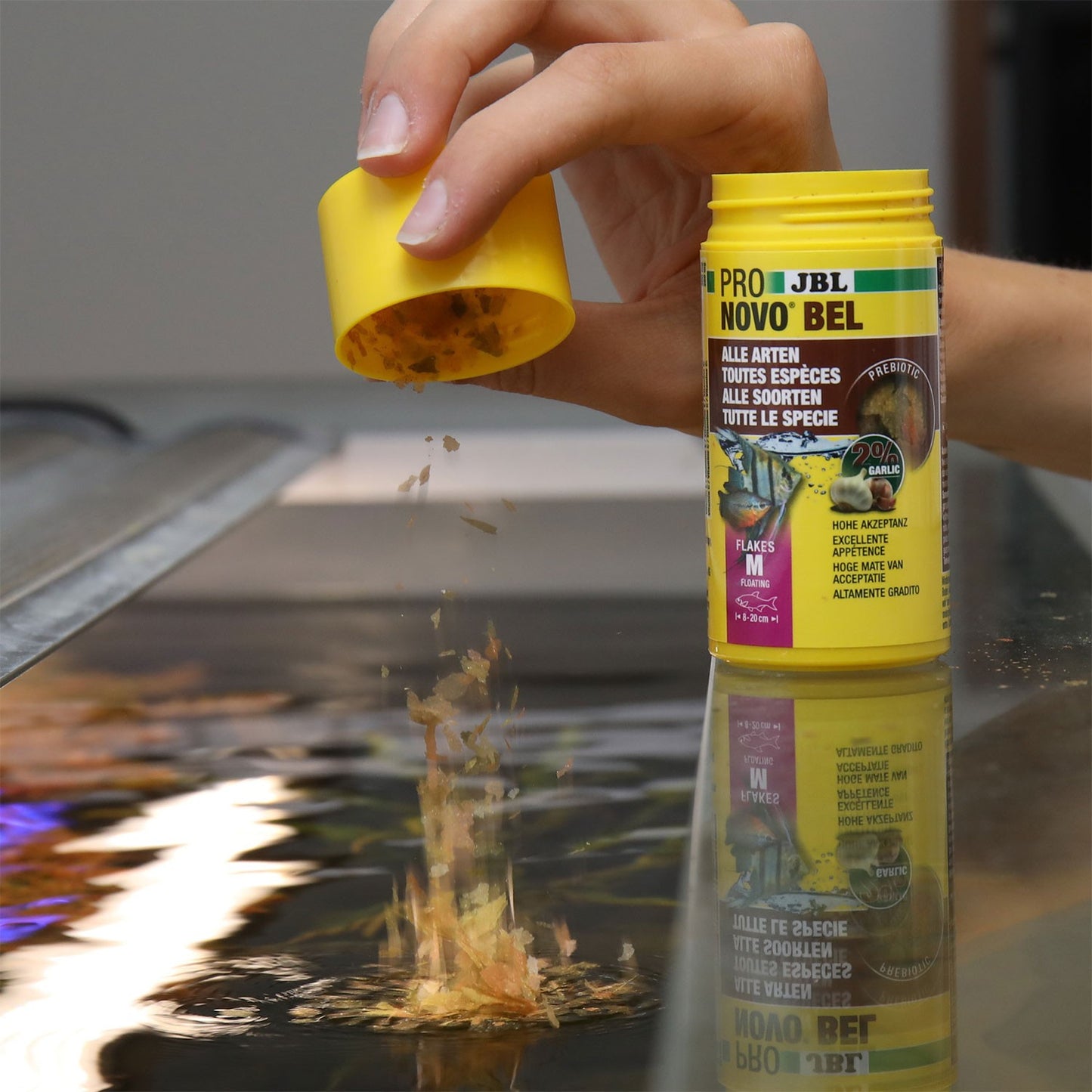 JBL PRONOVO Bel Flakes M Mangime Prebiotico In Fiocchi Per Pesci Da 8-20cm In Acquari Dolci