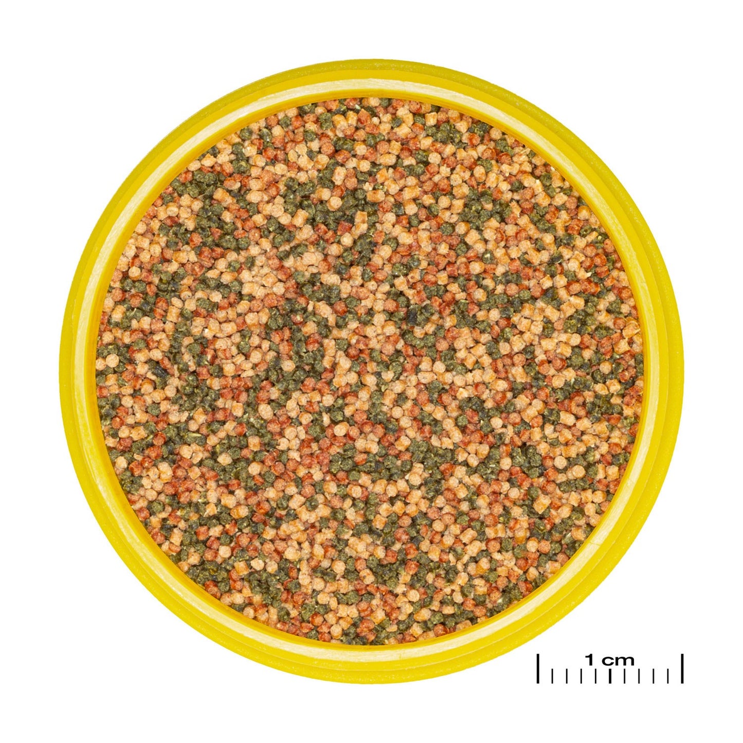 JBL PRONOVO Bel Grano S Mangime Prebiotico In Granuli Per Pesci Da 3-10cm In Acquari Dolci