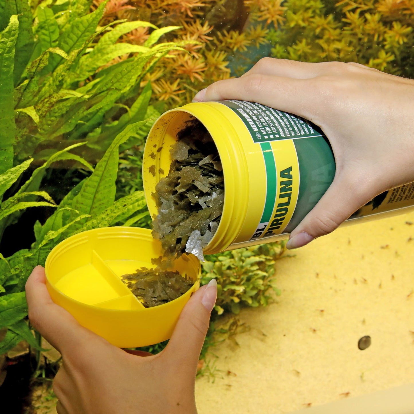 JBL PRONOVO Spirulina Flakes M Mangime In Fiocchi Vegetali A Base Di Spirulina Per Pesci Da 8-20cm D'Acqua Dolce