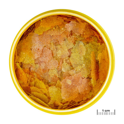 JBL PRONOVO Color Flakes M Mangime In Fiocchi Per Colori Brillanti Per Pesci Da 8-20cm D'Acqua Dolce