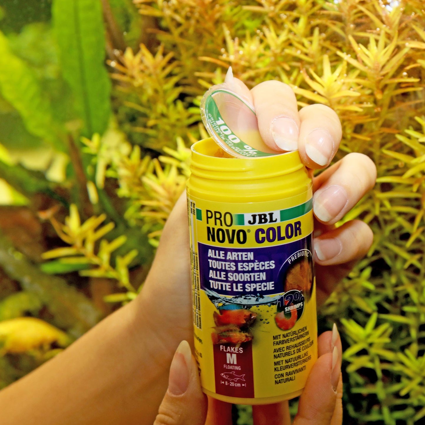 JBL PRONOVO Color Flakes M Mangime In Fiocchi Per Colori Brillanti Per Pesci Da 8-20cm D'Acqua Dolce