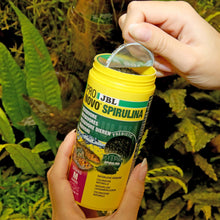 JBL PRONOVO Spirulina Grano M Mangime In Granuli Vegetali Con Spirulina Per Pesci Da 8-20cm D'Acqua Dolce 250ml