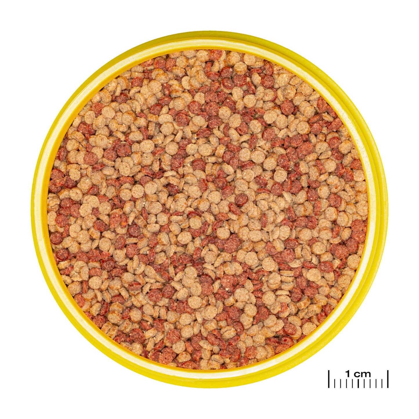 JBL PRONOVO Color Grano M Mangime In Granuli Per Colori Brillanti Per Pesci Da 8-20cm D'Acqua Dolce 250ml