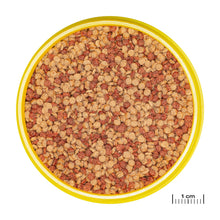 JBL PRONOVO Color Grano M Mangime In Granuli Per Colori Brillanti Per Pesci Da 8-20cm D'Acqua Dolce 250ml