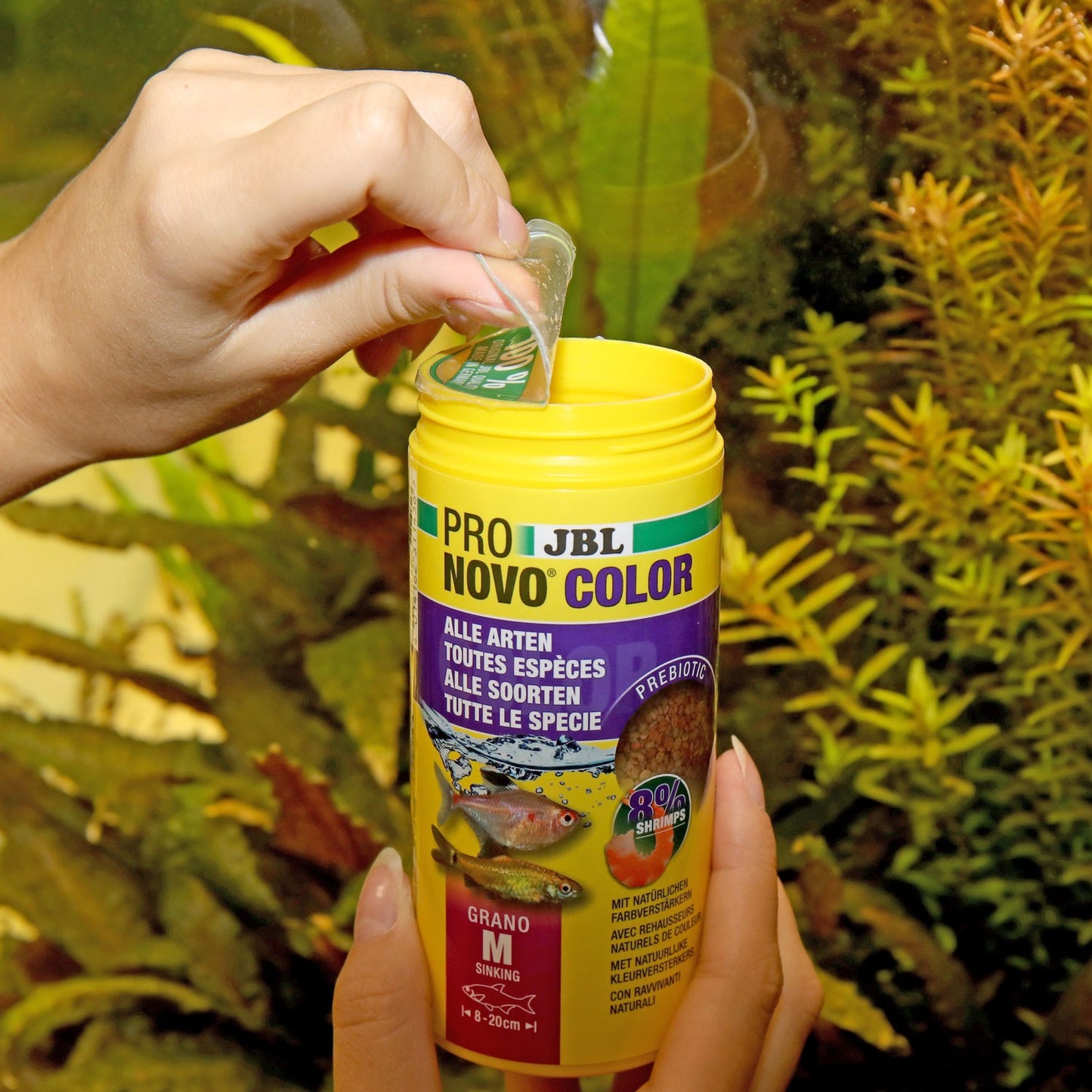 JBL PRONOVO Color Grano M Mangime In Granuli Per Colori Brillanti Per Pesci Da 8-20cm D'Acqua Dolce 250ml