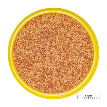 JBL PRONOVO Color Grano S Mangime In Granuli Per Colori Brillanti Per Pesci Da 3-10cm D'Acqua Dolce 100ml