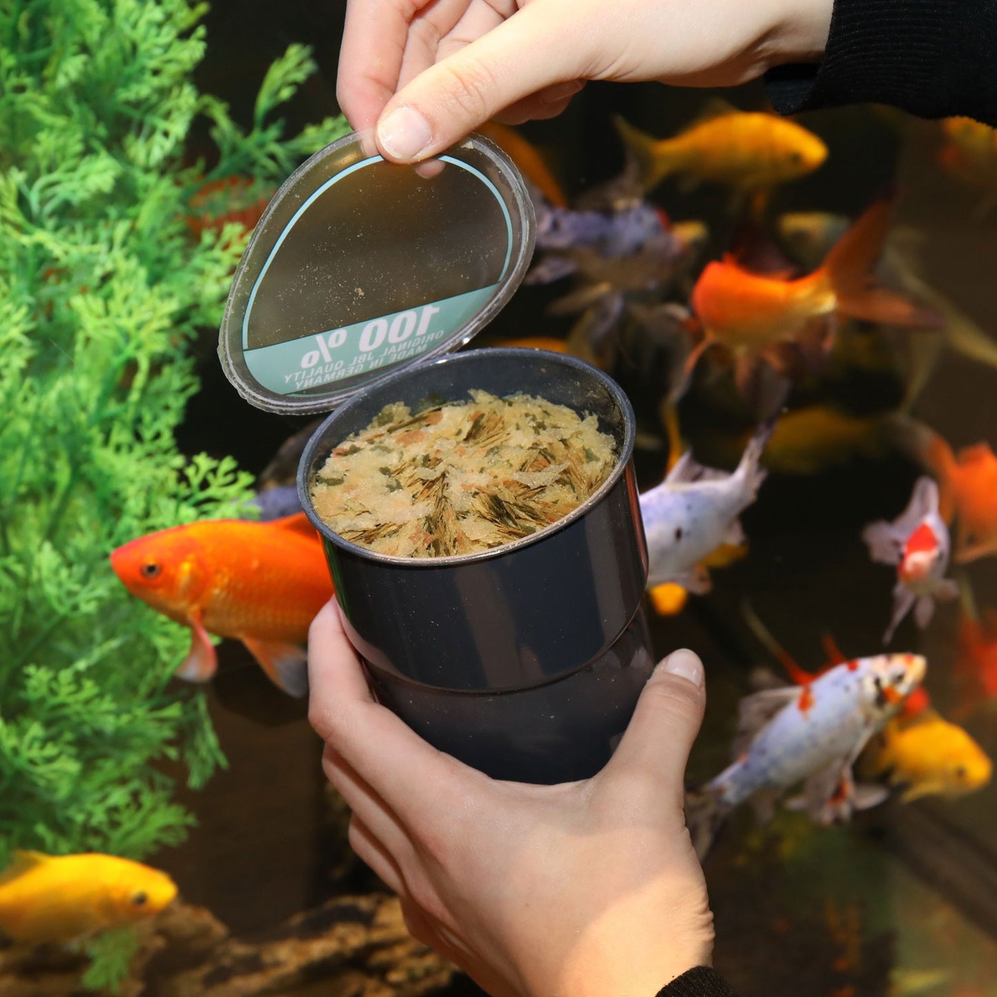 JBL PRONOVO Red Flakes M Mangime Base Per Pesci Rossi Da 8-20cm In Acquari D'Acqua Dolce