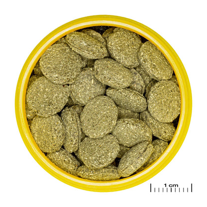 JBL PRONOVO Pleco Wafer M Compresse Di Mangime Per Loricaridi Erbivori Da 1-20cm In Acquari D'Acqua Dolce