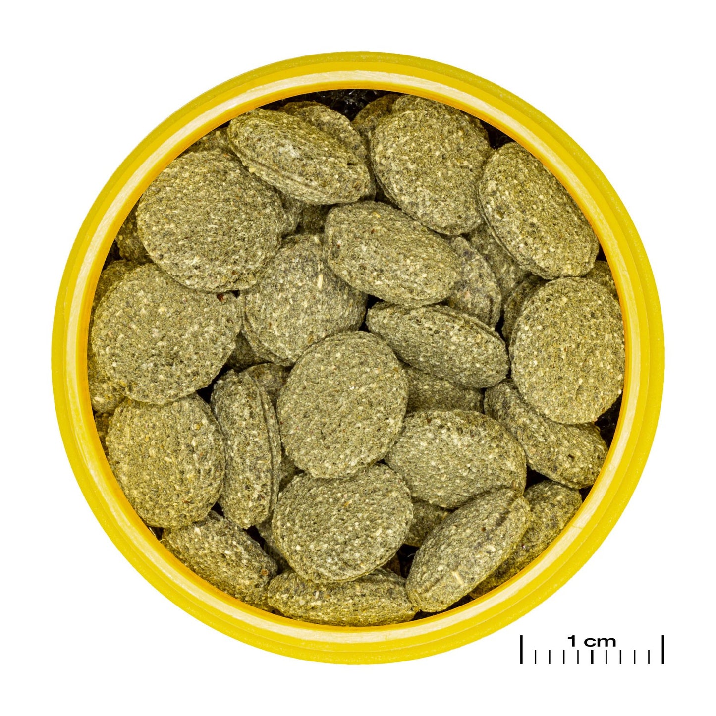 JBL PRONOVO Pleco Wafer M Compresse Di Mangime Per Loricaridi Erbivori Da 1-20cm In Acquari D'Acqua Dolce