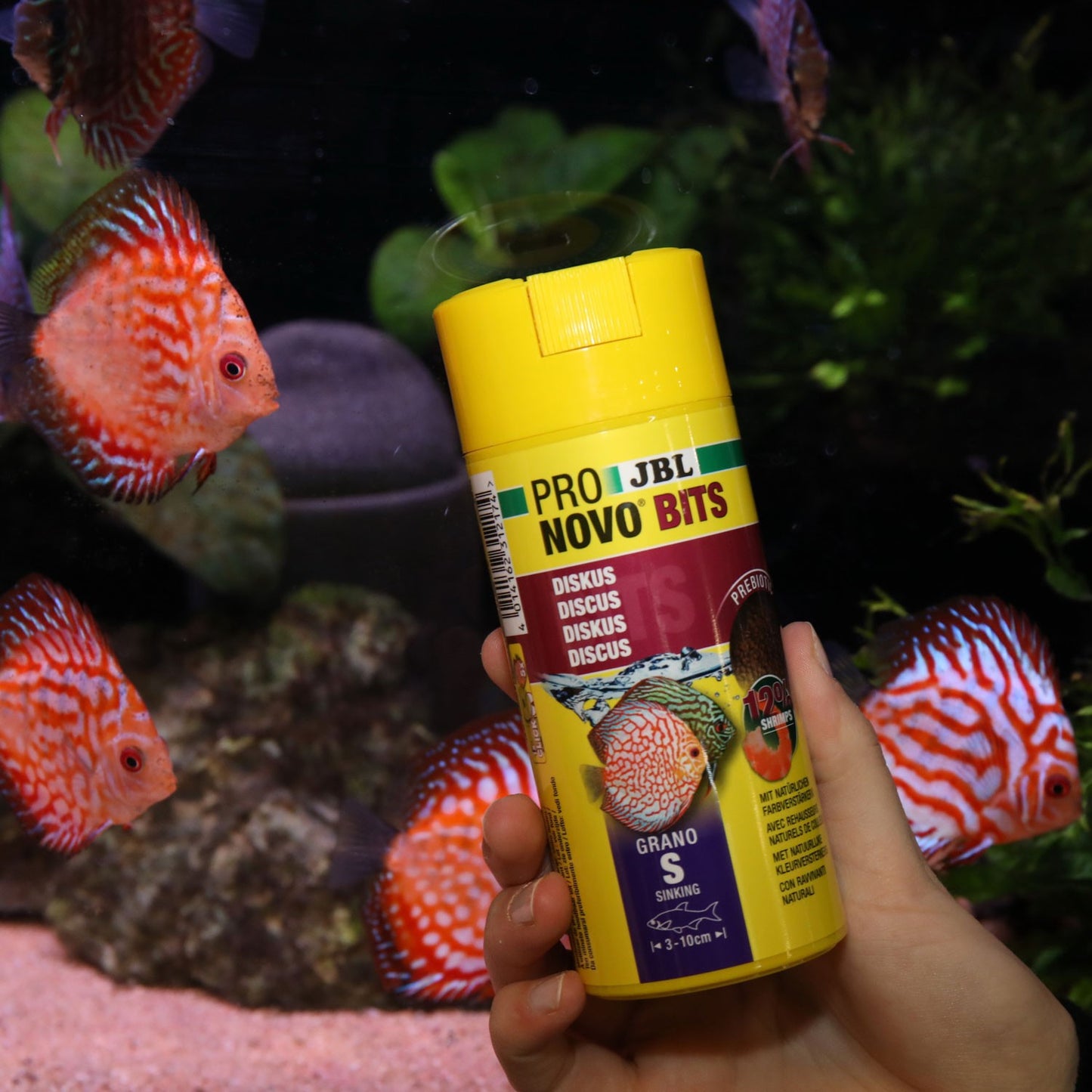 JBL PRONOVO Bits Grano S Mangime Base Per Pesci Discus E Ciclidi Da 3-10cm In Acquario
