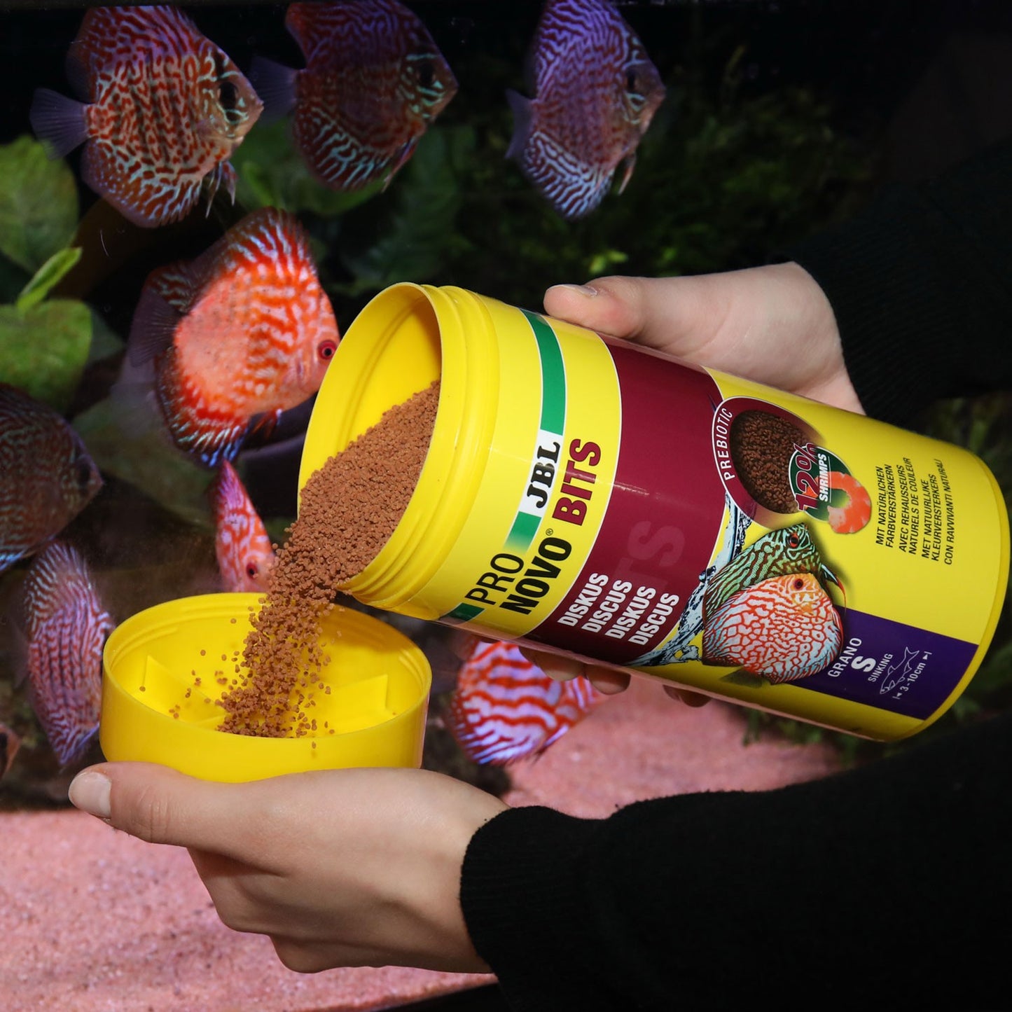 JBL PRONOVO Bits Grano S Mangime Base Per Pesci Discus E Ciclidi Da 3-10cm In Acquario