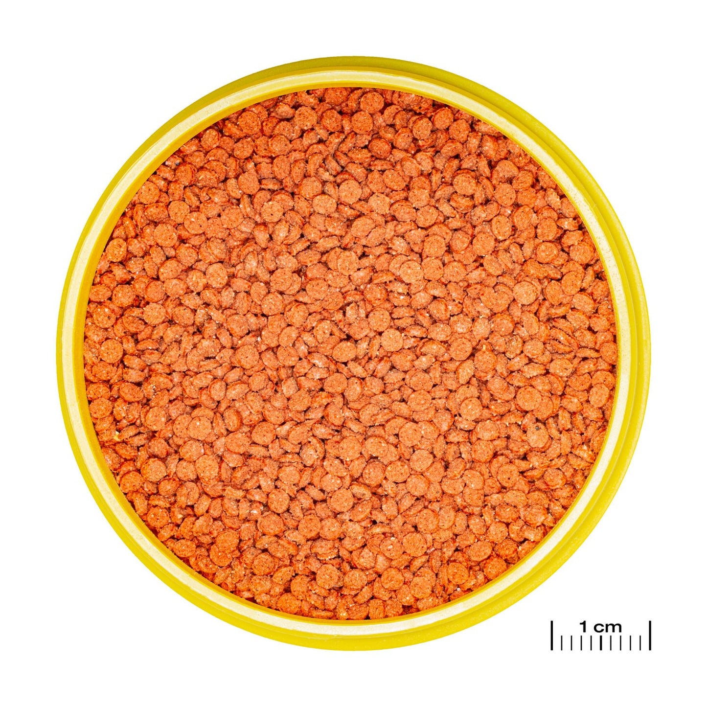 JBL PRONOVO Bits Grano M Mangime Base Per Pesci Discus E Ciclidi Da 8-20cm In Acquario