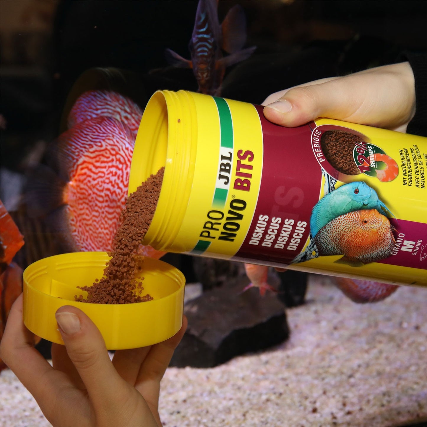 JBL PRONOVO Bits Grano M Mangime Base Per Pesci Discus E Ciclidi Da 8-20cm In Acquario