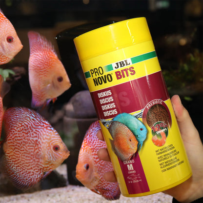 JBL PRONOVO Bits Grano M Mangime Base Per Pesci Discus E Ciclidi Da 8-20cm In Acquario