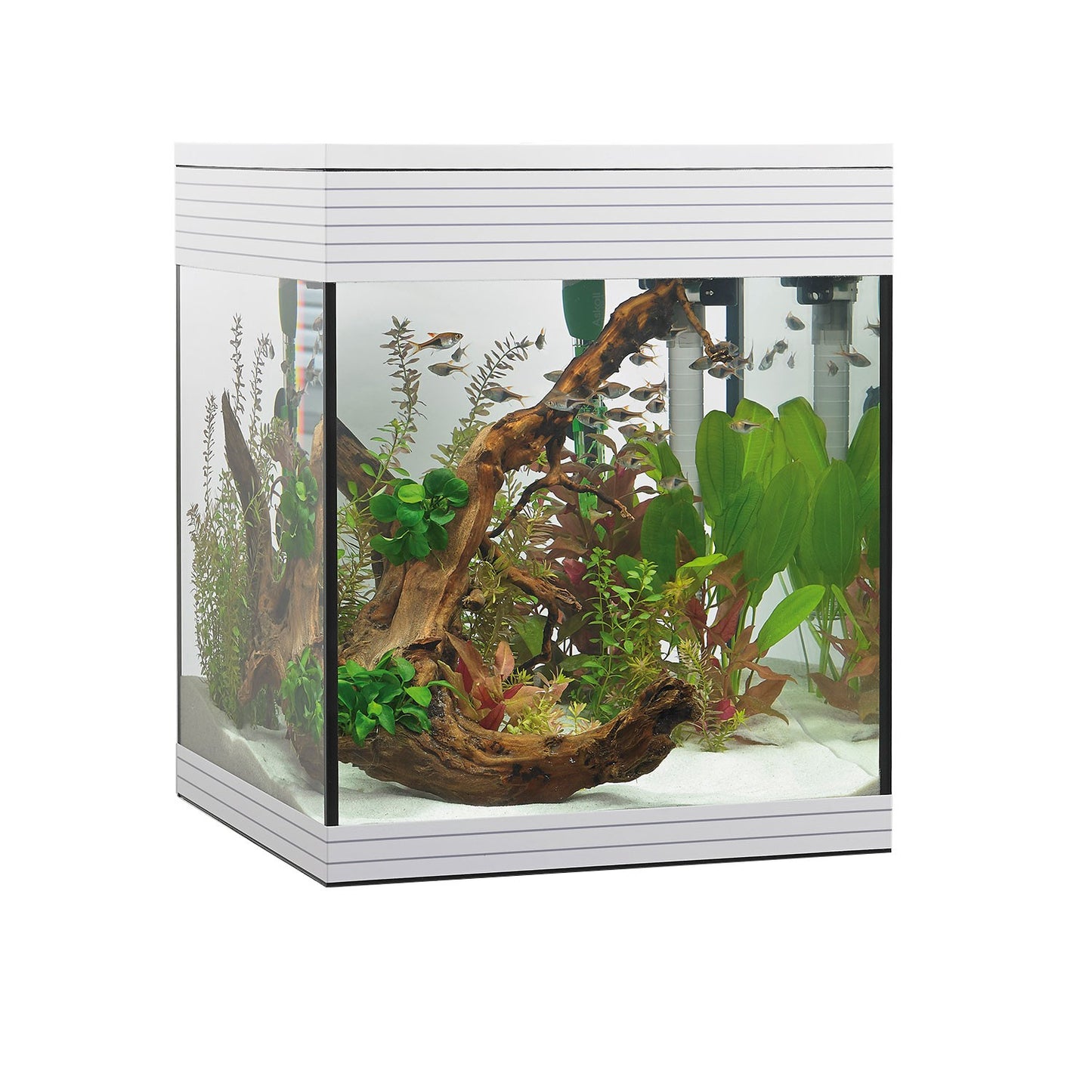 Askoll Pure M Led Acquario In Vetro Completo 36x36x43,5h cm