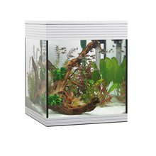 Askoll Pure M Led Acquario In Vetro Completo 36x36x43,5h cm