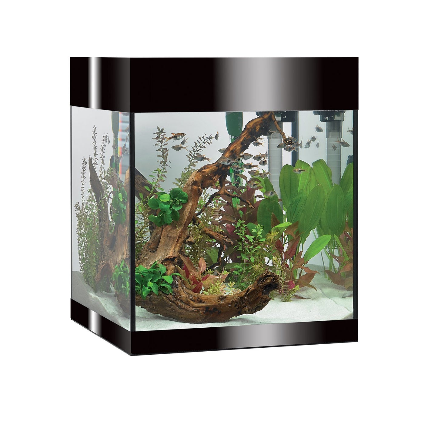 Askoll Pure M Led Acquario In Vetro Completo 36x36x43,5h cm