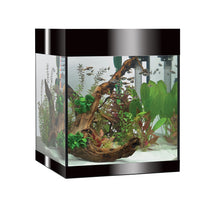 Askoll Pure M Led Acquario In Vetro Completo 36x36x43,5h cm