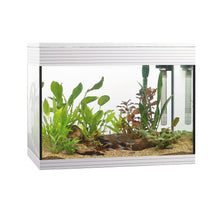 Askoll Pure L Led Acquario In Vetro Completo 56x36x43,5h cm