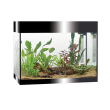 Askoll Pure L Led Acquario In Vetro Completo 56x36x43,5h cm