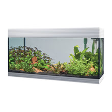 Askoll Pure XL Led Acquario In Vetro Completo 76x36x43,5h cm
