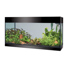 Askoll Pure XL Led Acquario In Vetro Completo 76x36x43,5h cm
