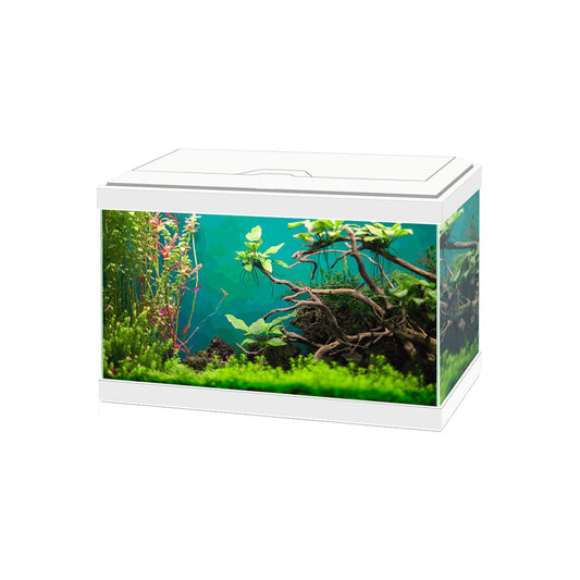Askoll Ciao Aqua Light 20 Led Acquario In Vetro Completo 40x20x31,3h cm