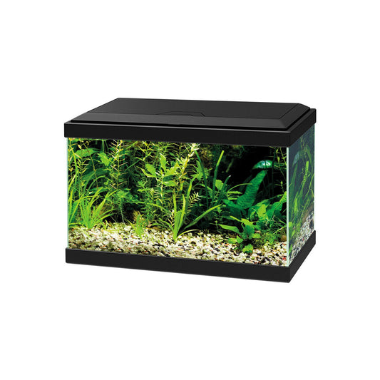 Askoll Ciao Aqua Light 20 Led Acquario In Vetro Completo 40x20x31,3h cm
