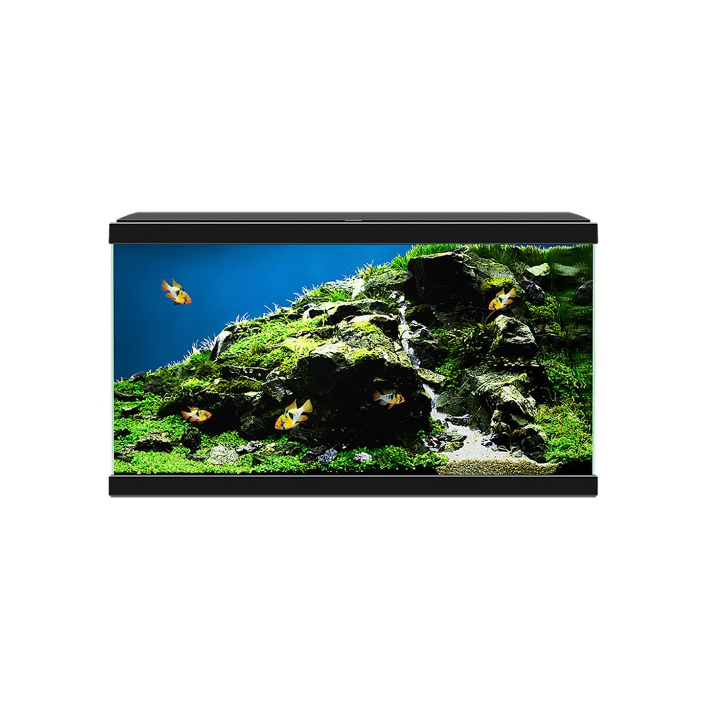 Askoll Ciao Aqua 60 Led Acquario In Vetro Completo 60x30x32h cm