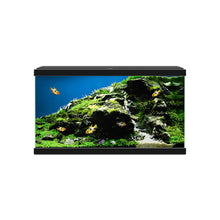 Askoll Ciao Aqua 60 Led Acquario In Vetro Completo 60x30x32h cm