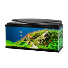 Askoll Ciao Aqua 80 Led Acquario In Vetro Completo 80x30x41,5h cm