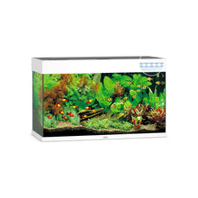 Juwel Rio 125 Led Acquario In Vetro Completo 81x36x50cm