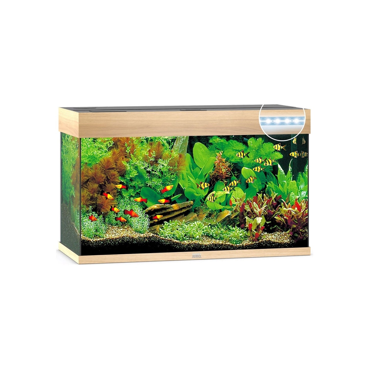 Juwel Rio 125 Led Acquario In Vetro Completo 81x36x50cm
