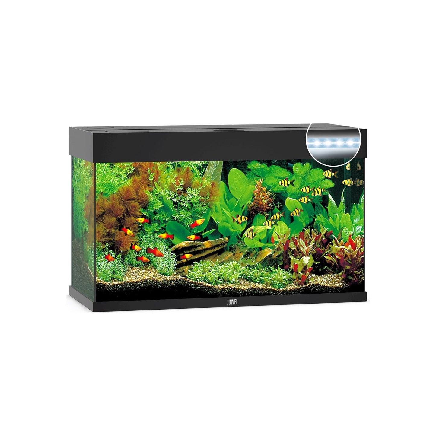 Juwel Rio 125 Led Acquario In Vetro Completo 81x36x50cm