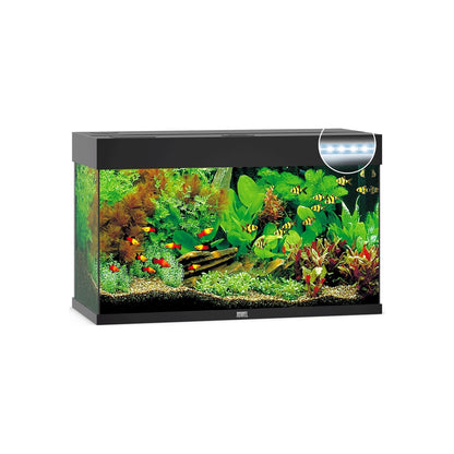 Juwel Rio 125 Led Acquario In Vetro Completo 81x36x50cm