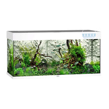 Juwel Rio 180 Led Acquario In Vetro Completo 101x41x50cm