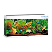 Juwel Rio 240 Led Acquario In Vetro Completo 121x41x55cm