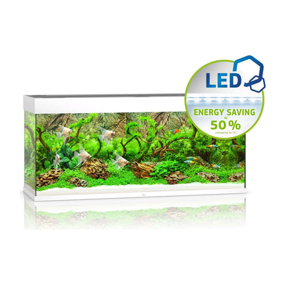 Juwel Rio 240 Led Acquario In Vetro Completo 121x41x55cm