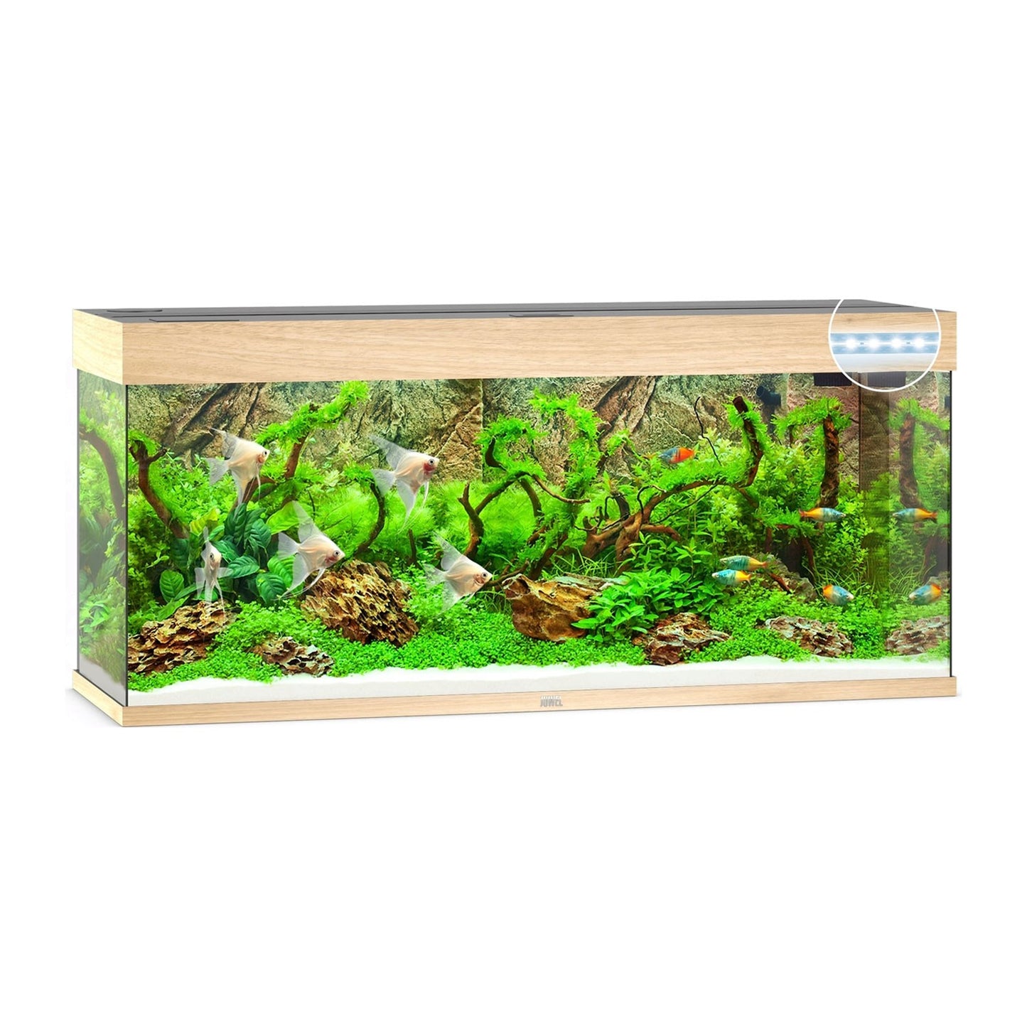Juwel Rio 240 Led Acquario In Vetro Completo 121x41x55cm