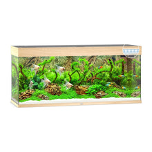 Juwel Rio 240 Led Acquario In Vetro Completo 121x41x55cm