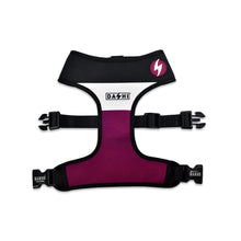Dashi Stripes3 Viola/Nero NeoMesh Pettorina Reversibile per Cani