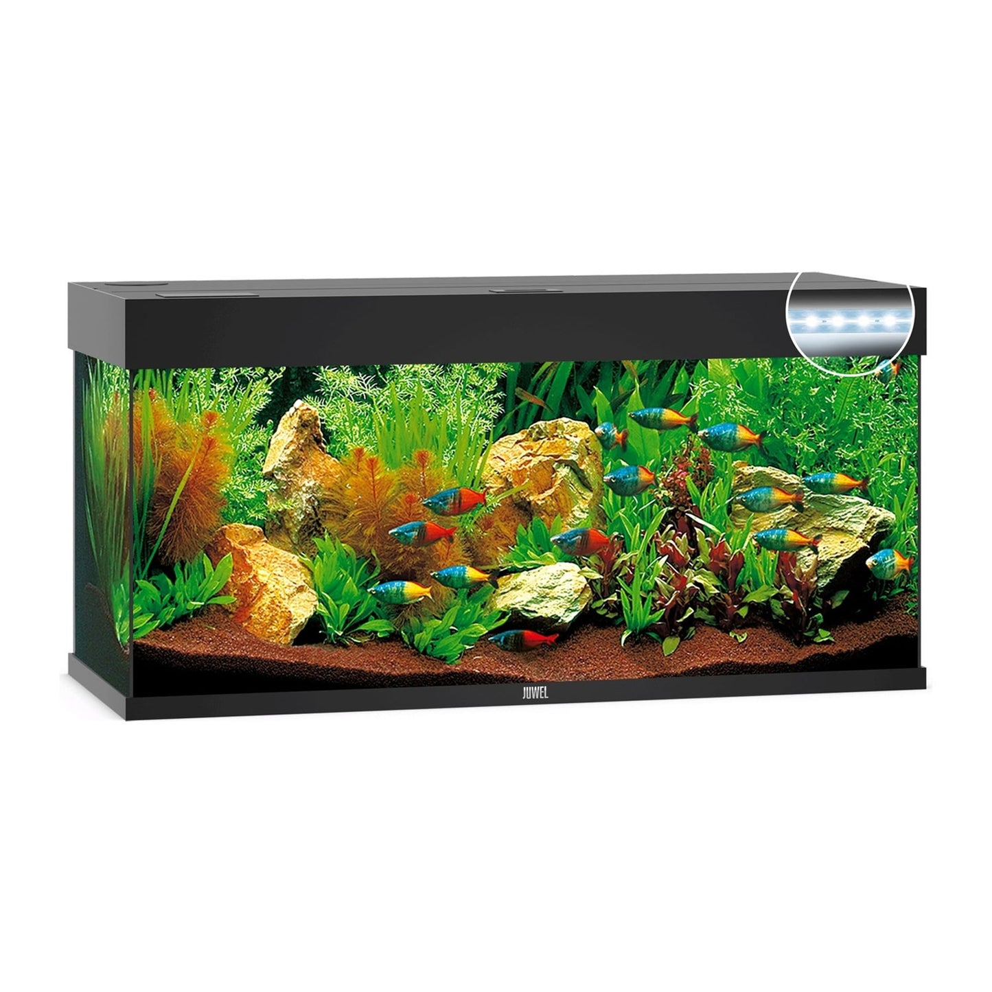Juwel Rio 240 Led Acquario In Vetro Completo 121x41x55cm