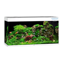 Juwel Rio 350 Led Acquario In Vetro Completo 121x51x66cm