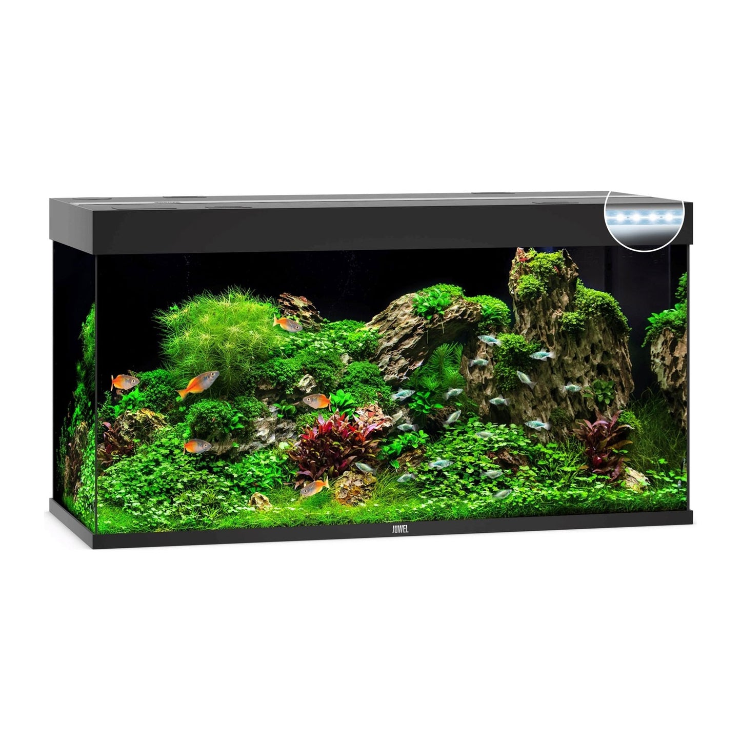 Juwel Rio 350 Led Acquario In Vetro Completo 121x51x66cm